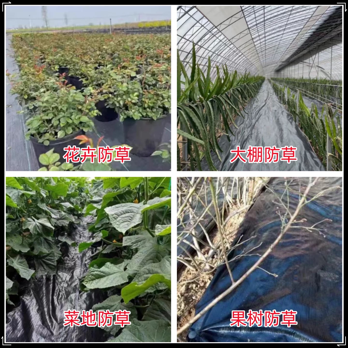 茂名市塑料薄膜防草布 - 价格